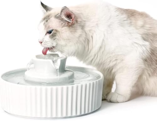 2.1L Ceramic Cat Water Fountain for Cats and Dogs