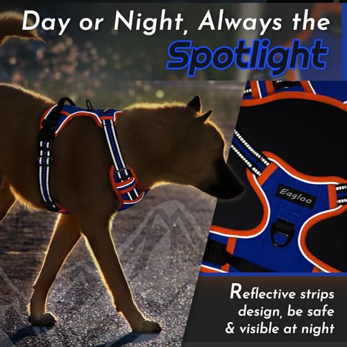 Dog Harness for Small Dogs (Small / Blue & Orange)
