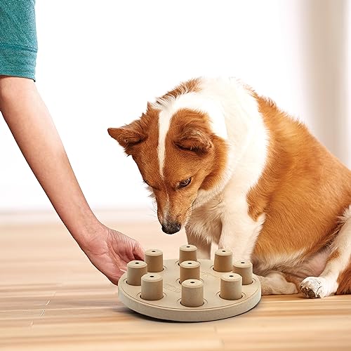 by Nina Ottosson Dog Smart Treat Puzzle Enrichment Toy (Dog Smart Composite (Tan) / One Size)