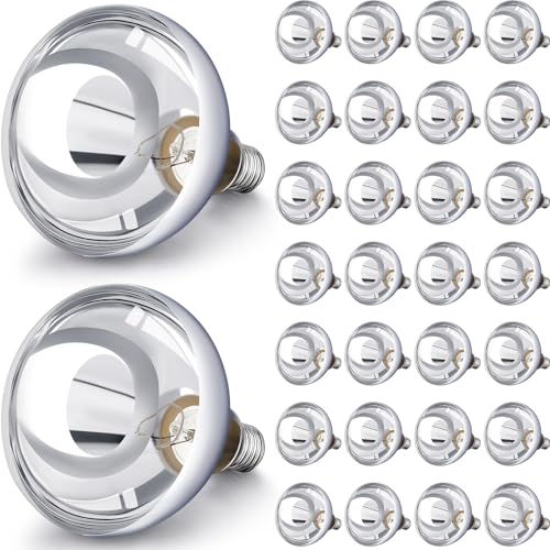 30 Pack Heat Lamp Bulbs 250 Watt (Silver)