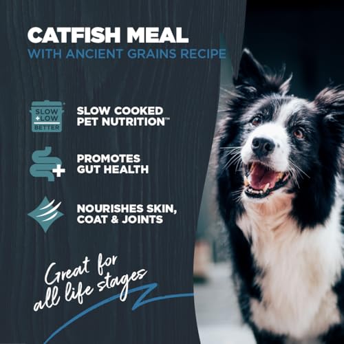 Sensitive Premium Dry Dog Food (Catfish Meal with Ancient Grains / 4.5 Pound (Pack of 1))