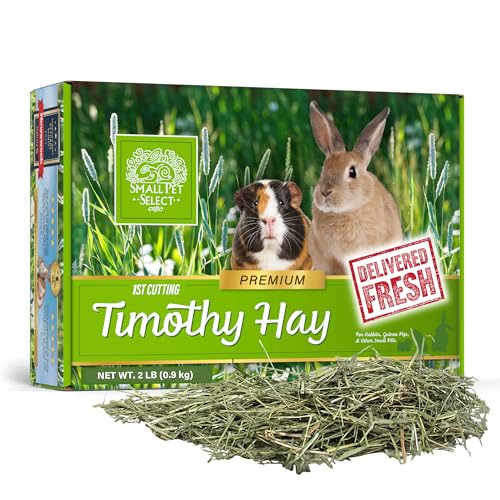 1st Cutting Timothy Hay for Rabbits & Guinea Pigs (2 Pound (Pack of 1))