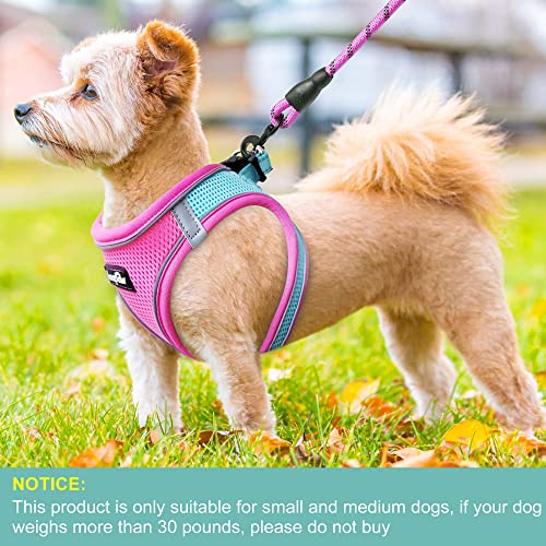 Dog Harness with Leash Set (S / Blue / Pink)