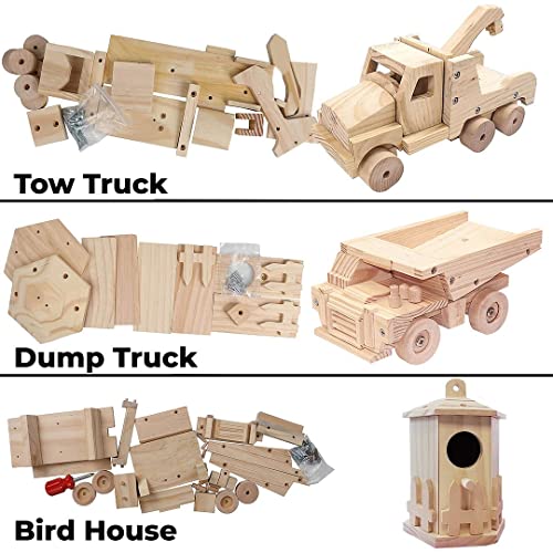 Woodworking Building Kit for Kids and Adults (Carpentry Set of 3)