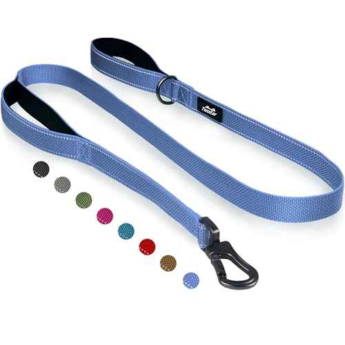 5FT 1IN Heavy Duty Dog Leash for Large Dogs with 2 Padded Handles (Ultramarine / 1 in x 5 ft)
