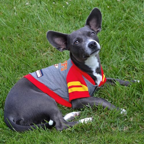 NFL Kansas City Chiefs Hoodie for Dogs & Cats (Medium / Kansas City Chiefs)