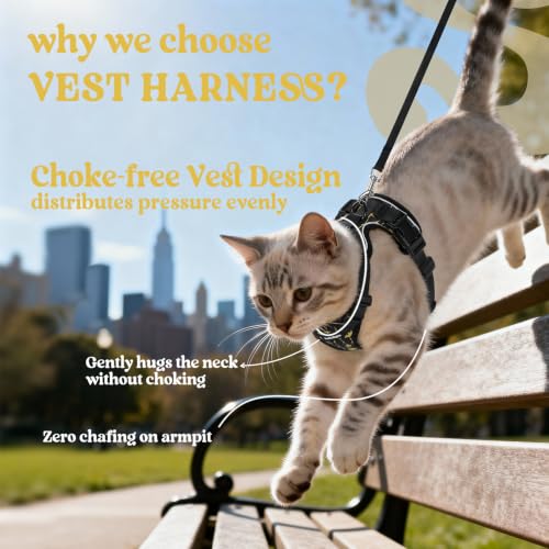 Cat Harness and Leash Set (Xxs / Lunar Prowl)