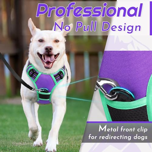 Dog Harness for Large Dogs (X-large / Purple & Turquoise)