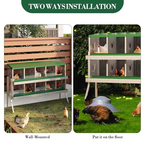 10 Hole Chicken Nesting Box with Roll Out Egg Tray