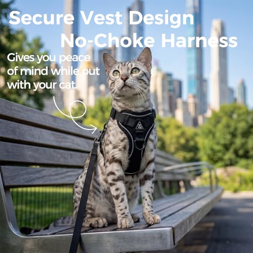 Cat Harness and Leash Set (Black / XX-Large)