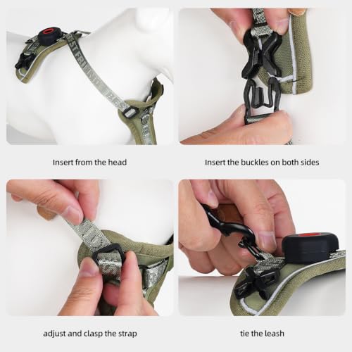 Cat Harness Leash Set with AirTag Holder (Green for Airtag / S)