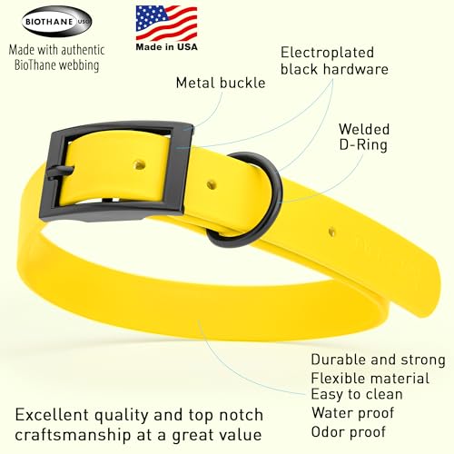 Biothane Waterproof Dog Collar Strong Coated Nylon Webbing with Black Hardware Odor (W1" x L18-22" / Lemon Yellow)