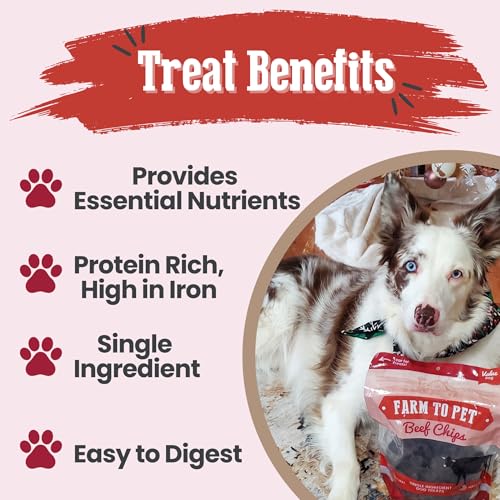 Dog Training Treats (12 Ounce (Pack of 1))
