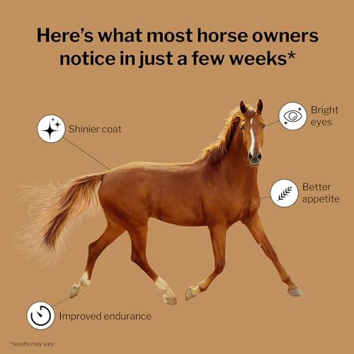 Daily Essentials Ration Balancer Supplement for Horses (6 lb Bag)