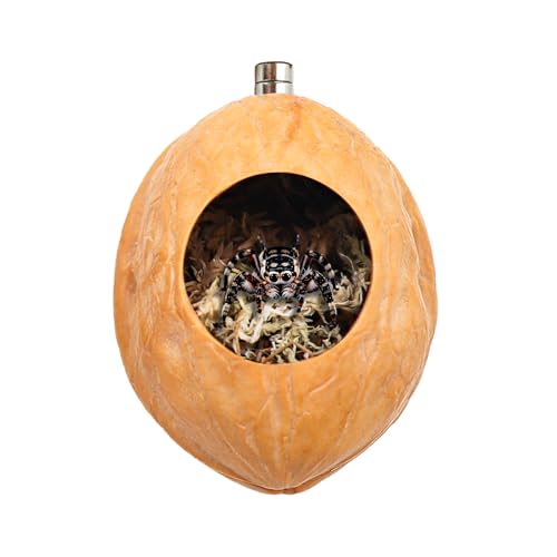 2 Pack Jumping Spider Enclosure Accessories with Walnut Shell Moss and Magnet
