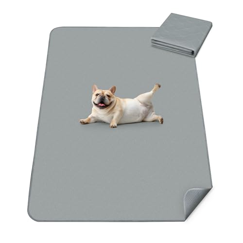 Washable Pee Pads for Dogs (Gray / 39" x 63" (1 Pack))