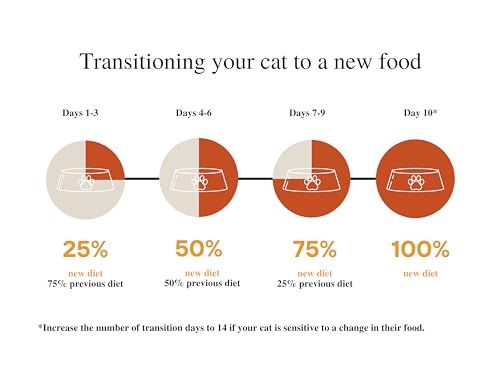 Amazon Brand Wonder Bound Wet Cat Food