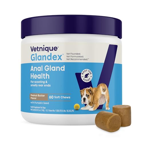 Glandex for Dogs Anal Gland Chews 60ct Pumpkin + Digestive Enzymes (60ct)
