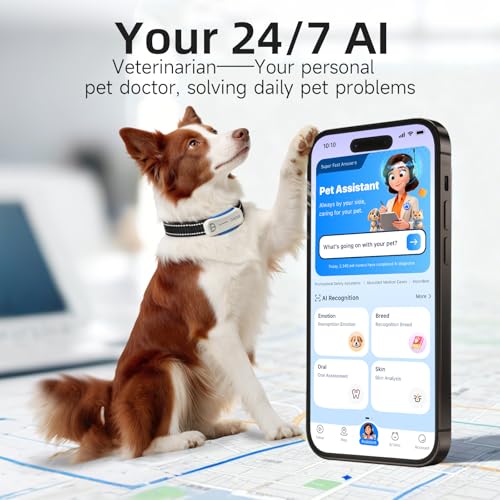 Next Gen GPS Dog Tracker + 36 (D5-White 36M Plan)