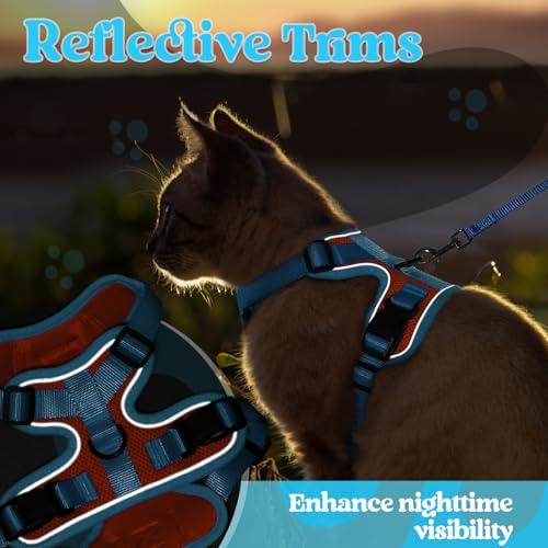 Cat Harness and Leash Set (Orange & Light Blue / M)