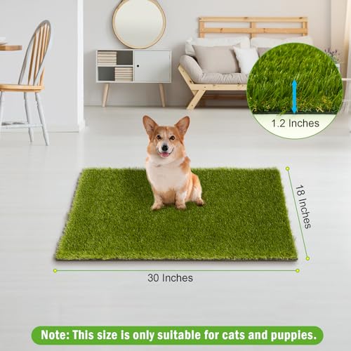 Professional Fake Grass for Dogs (30" x 17")