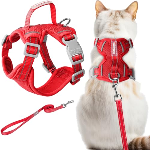 Cat Harness and Leash Set Escape Proof for Kitten Walking (X-Small / Red)