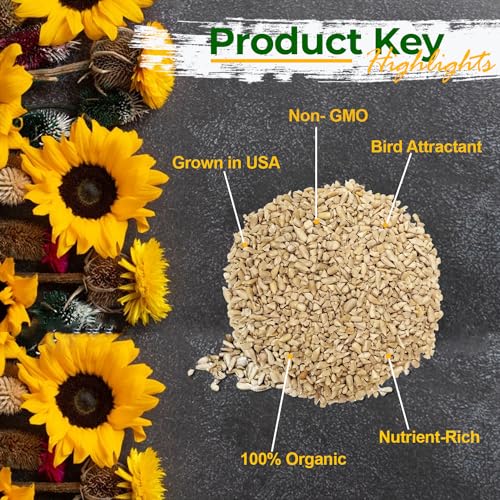 Wildlife Sunflower Hearts & Chips (12 Pound (Pack of 1))