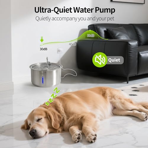 Dog Water Fountain