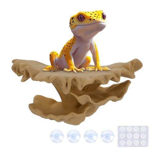 Mushroom Decor for Reptile Tank (Shelf Cap / Almond)