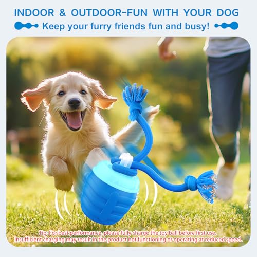 Interactive Dog Toys Ball (Blue / Medium/Large)