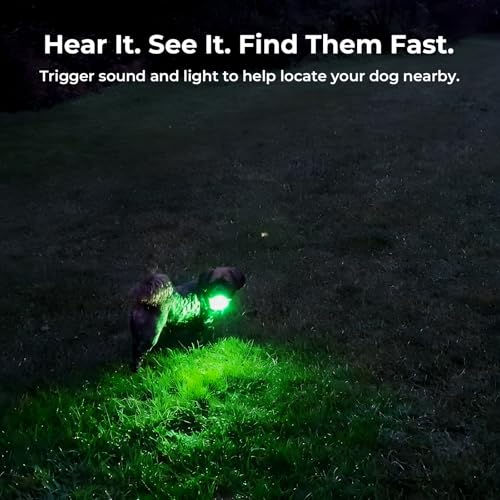 Gen 2 Dog Tracker No Subscription for Medium & Large Dogs