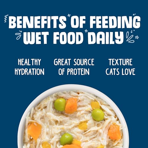 Classic Cat Food (5.5 Ounce (Pack of 24))