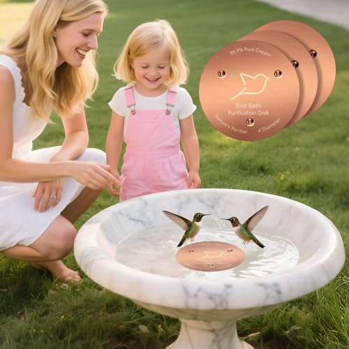 3 Pack Bird Bath Copper Disk (Copper/3PCS)