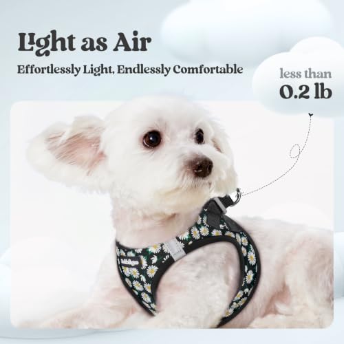 Dog Harness Medium Sized and Leash Set (Midnight Daisy / L (chest: 18.2 - 20.5"))