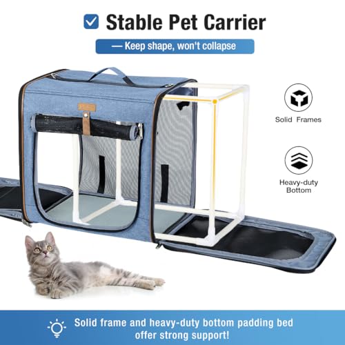 Large Cat Carrier for 2 Cats (Blue)