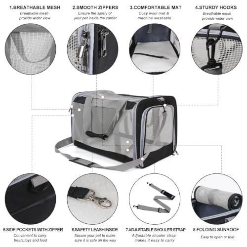 Pet Carrier for Large Cats of 20 Lbs (Black)