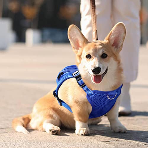 Dog Backpack Harness (Blue Shark / 6.4"L x 5.1"W x 2.2"H)