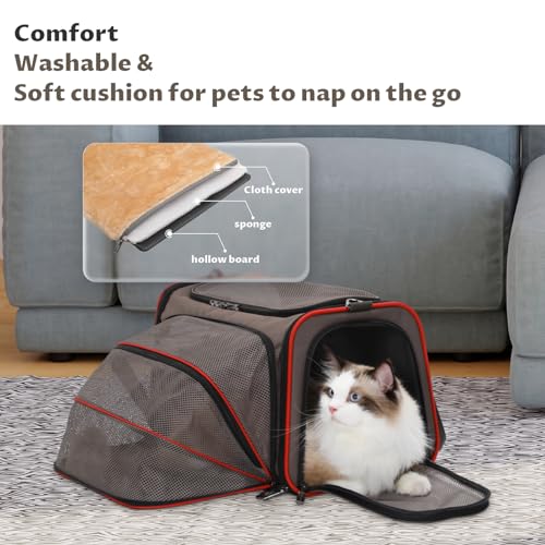 Expandable Cat Carrier Dog Carriers (19.0"L x 12.0"W x 12.0"H / Gray brown)