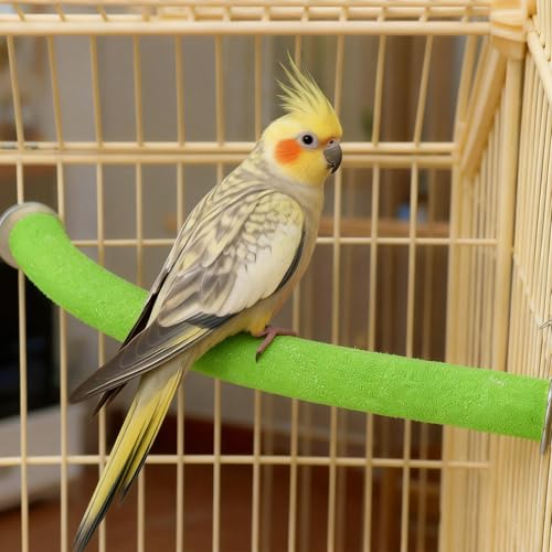 90 Degree Parrot Perch for Cage Corner (Large / Green-corner-90)