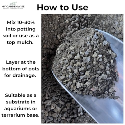 Lava Rocks for Plants (Black Lava Rocks / 1 qt)