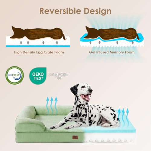 Orthopedic Extra Large Dog Bed (Sage Green / 44.0"l X 32.0"w X 6.5"th)