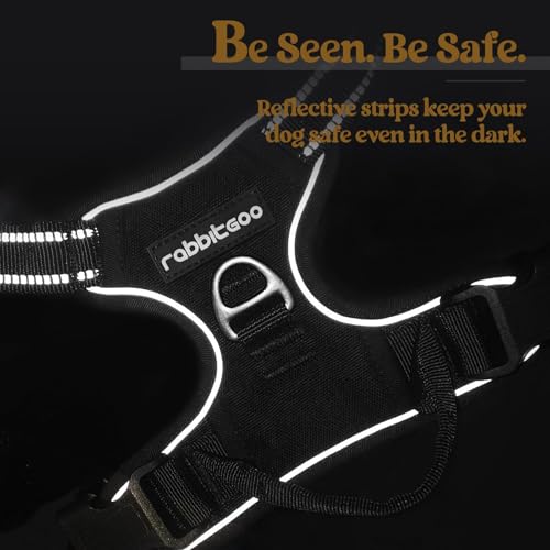 Dog Harness No Pull for Small Dogs with 2 Leash Clips (Small / Black)