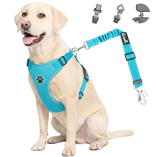 Dog Car Harness Seat Belt (X-Small / Light Blue)