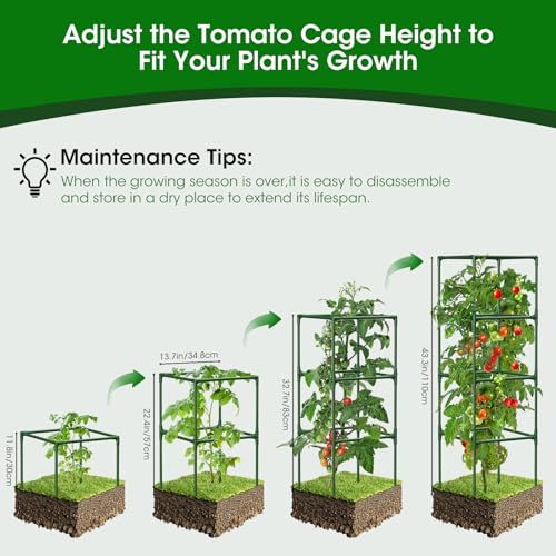 2 Pack Tomato Cage for Garden Support (2 Pack)