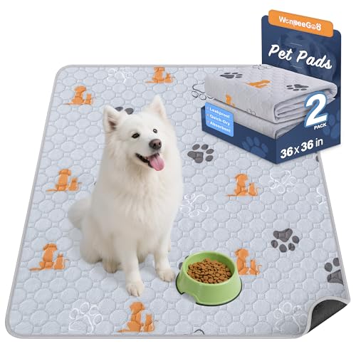 Washable Pee Pads for Dogs (Orange / 36"x36" (Pack of 2))
