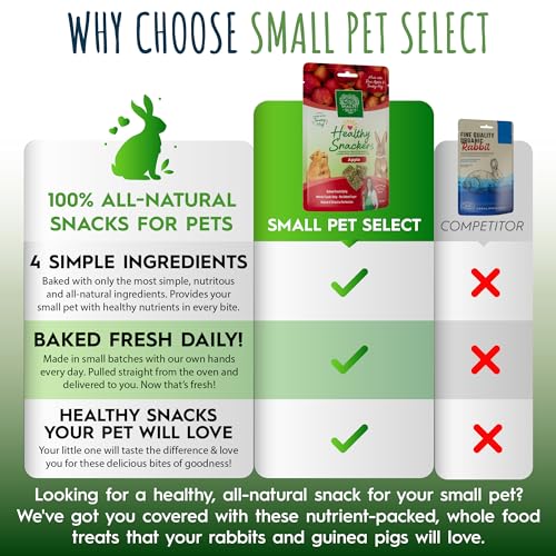 Healthy Snackers (2 Ounce (Pack of 1))