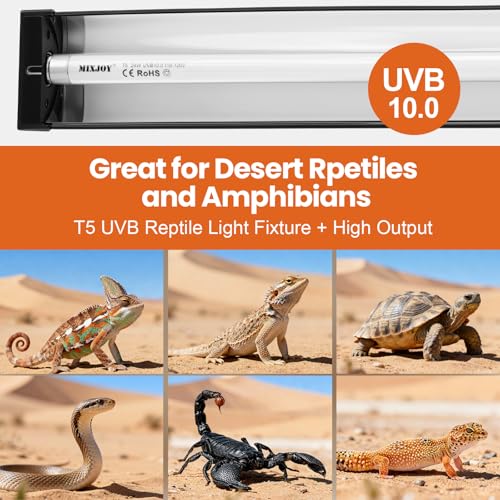T5 HO UVB Reptile Light Kit (22-Inch 24W)