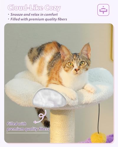 Purple Flower Cat Tree for Small Indoor Cats w (35" Upgraded Flower Cat Tree / Purple)