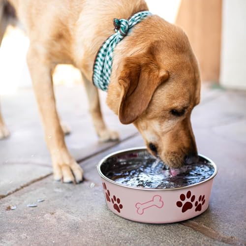 Bella Dog Bowls (Paparazzi Pink / Large (35-65lbs))