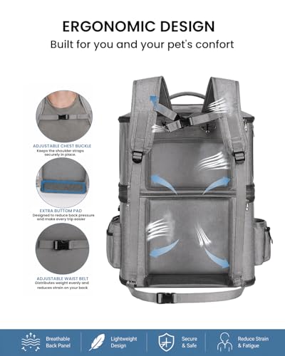 Detachable Double Cat Backpack Carrier for 2 Pets